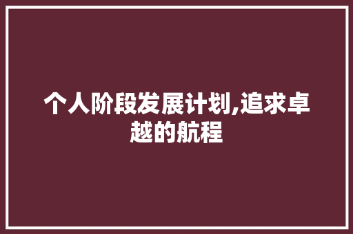 个人阶段发展计划,追求卓越的航程