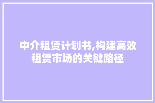 中介租赁计划书,构建高效租赁市场的关键路径