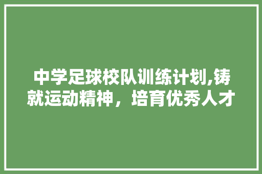 中学足球校队训练计划,铸就运动精神，培育优秀人才