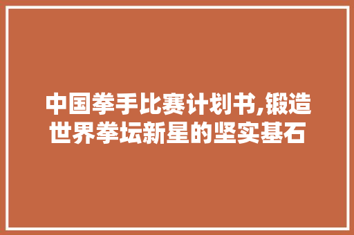 中国拳手比赛计划书,锻造世界拳坛新星的坚实基石