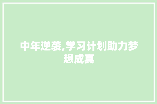 中年逆袭,学习计划助力梦想成真 论文范文