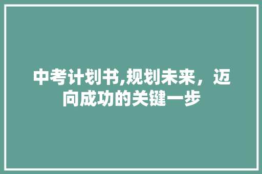 中考计划书,规划未来，迈向成功的关键一步