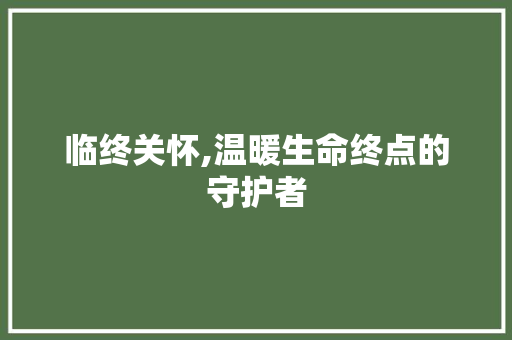 临终关怀,温暖生命终点的守护者