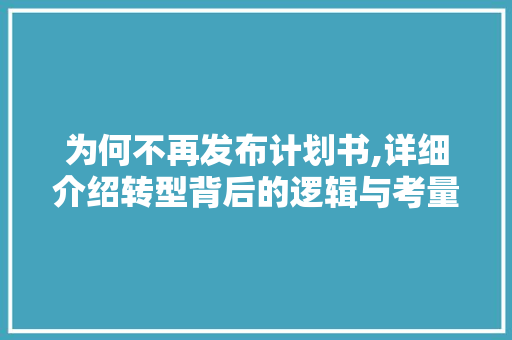 为何不再发布计划书,详细介绍转型背后的逻辑与考量