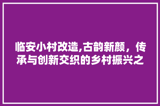 临安小村改造,古韵新颜，传承与创新交织的乡村振兴之路