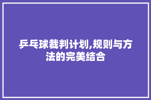 乒乓球裁判计划,规则与方法的完美结合