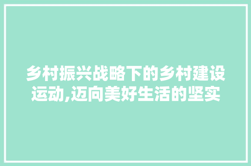 乡村振兴战略下的乡村建设运动,迈向美好生活的坚实步伐