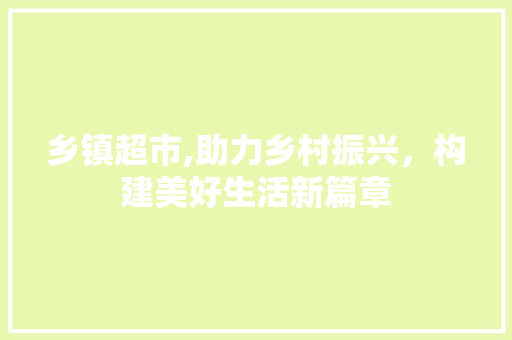 乡镇超市,助力乡村振兴，构建美好生活新篇章