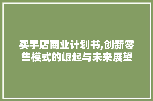 买手店商业计划书,创新零售模式的崛起与未来展望