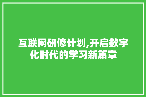 互联网研修计划,开启数字化时代的学习新篇章