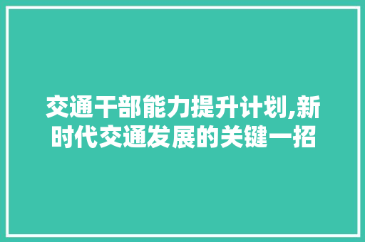 交通干部能力提升计划,新时代交通发展的关键一招