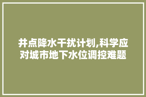 井点降水干扰计划,科学应对城市地下水位调控难题