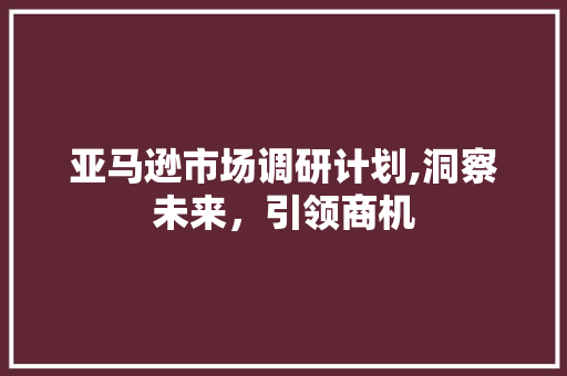 亚马逊市场调研计划,洞察未来，引领商机