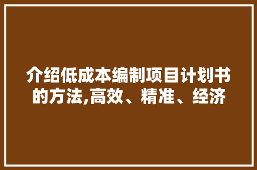 介绍低成本编制项目计划书的方法,高效、精准、经济