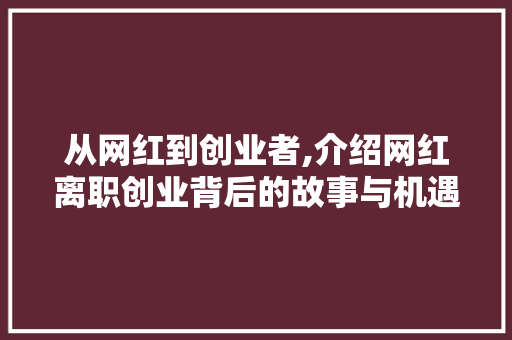 从网红到创业者,介绍网红离职创业背后的故事与机遇