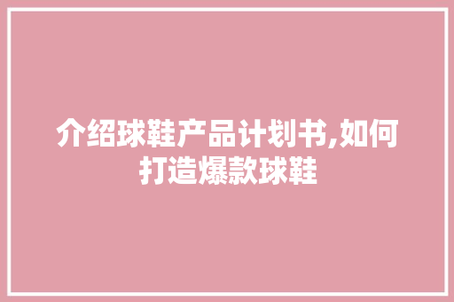 介绍球鞋产品计划书,如何打造爆款球鞋