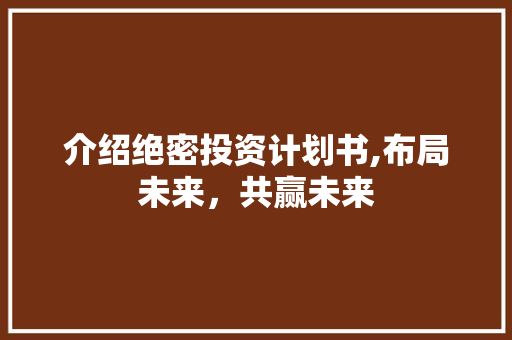 介绍绝密投资计划书,布局未来，共赢未来