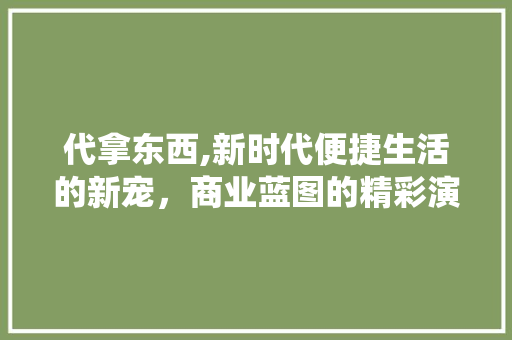 代拿东西,新时代便捷生活的新宠，商业蓝图的精彩演绎