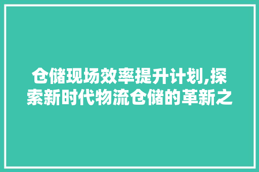 仓储现场效率提升计划,探索新时代物流仓储的革新之路