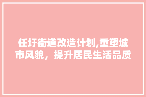 任圩街道改造计划,重塑城市风貌，提升居民生活品质