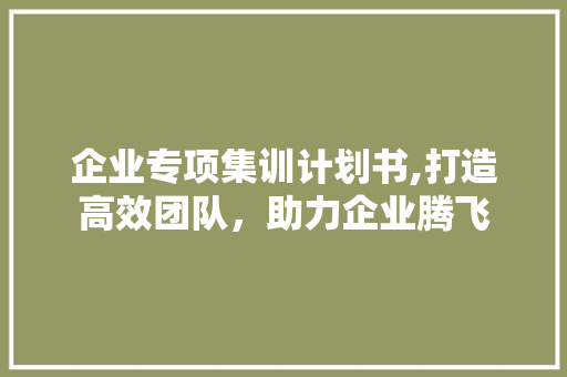 企业专项集训计划书,打造高效团队，助力企业腾飞