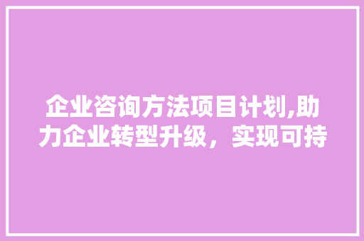 企业咨询方法项目计划,助力企业转型升级，实现可持续发展