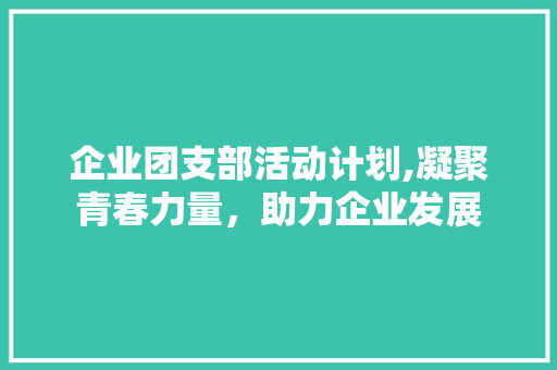 企业团支部活动计划,凝聚青春力量，助力企业发展