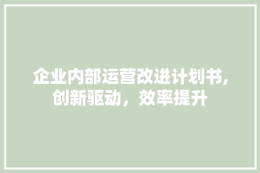 企业内部运营改进计划书,创新驱动，效率提升