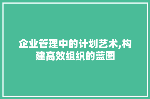 企业管理中的计划艺术,构建高效组织的蓝图