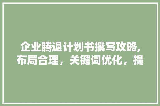 企业腾退计划书撰写攻略,布局合理，关键词优化，提升说服力