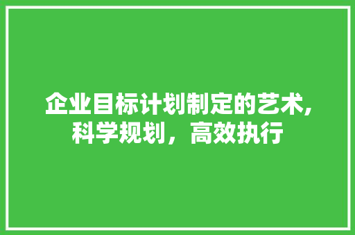 企业目标计划制定的艺术,科学规划，高效执行