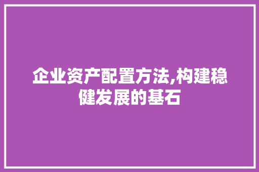 企业资产配置方法,构建稳健发展的基石