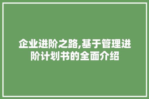 企业进阶之路,基于管理进阶计划书的全面介绍