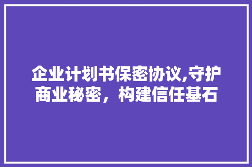 企业计划书保密协议,守护商业秘密，构建信任基石