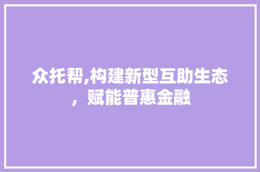 众托帮,构建新型互助生态，赋能普惠金融