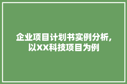 企业项目计划书实例分析,以XX科技项目为例