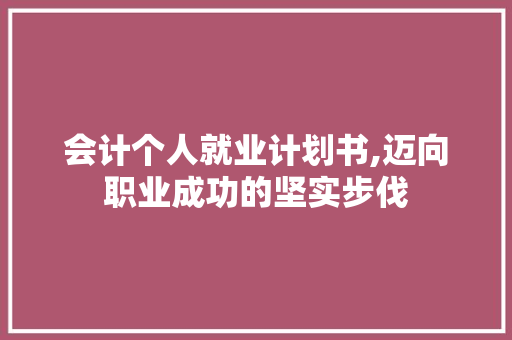 会计个人就业计划书,迈向职业成功的坚实步伐