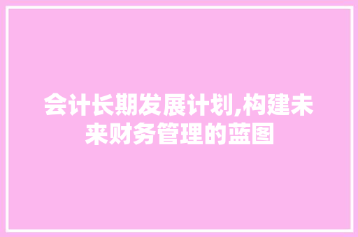 会计长期发展计划,构建未来财务管理的蓝图