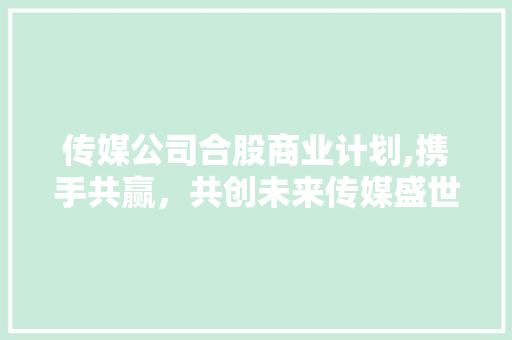 传媒公司合股商业计划,携手共赢，共创未来传媒盛世