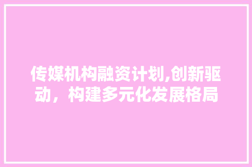 传媒机构融资计划,创新驱动，构建多元化发展格局