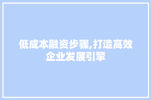 低成本融资步骤,打造高效企业发展引擎