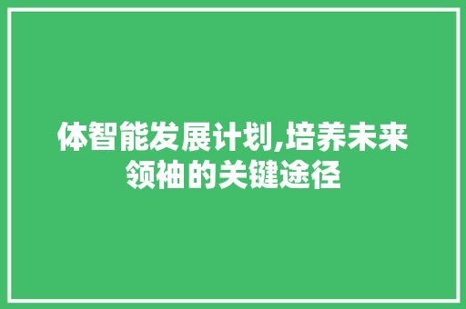 体智能发展计划,培养未来领袖的关键途径