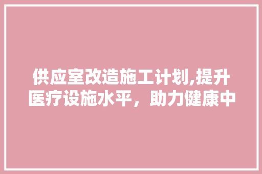 供应室改造施工计划,提升医疗设施水平，助力健康中国建设 演讲稿范文