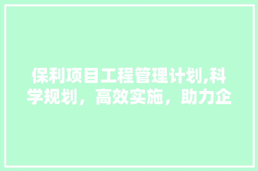 保利项目工程管理计划,科学规划，高效实施，助力企业高质量发展