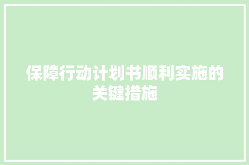 保障行动计划书顺利实施的关键措施