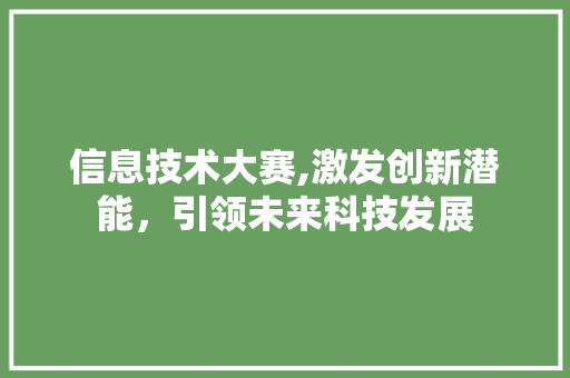 信息技术大赛,激发创新潜能，引领未来科技发展