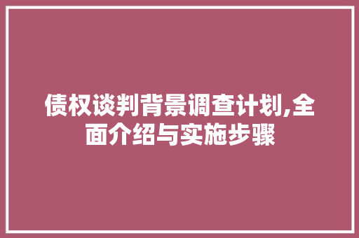 债权谈判背景调查计划,全面介绍与实施步骤 书信范文