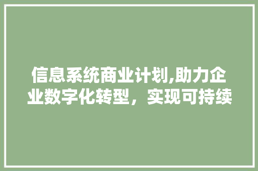 信息系统商业计划,助力企业数字化转型，实现可持续发展