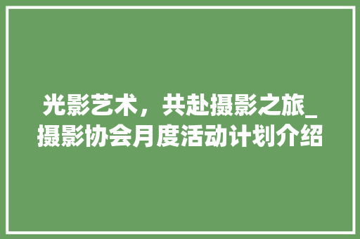 光影艺术，共赴摄影之旅_摄影协会月度活动计划介绍