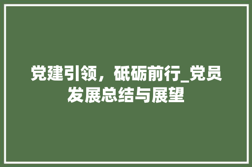 党建引领，砥砺前行_党员发展总结与展望